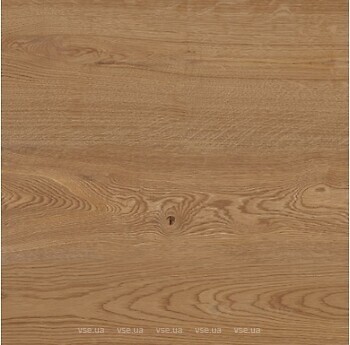 Фото TEO плитка Rio Honey Mat F PCR 60x60 (WLC44F66610A)