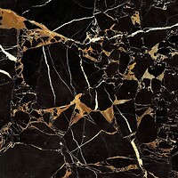 Фото Golden Tile плитка напольная Saint Laurent черный 60x60 (9АС580)