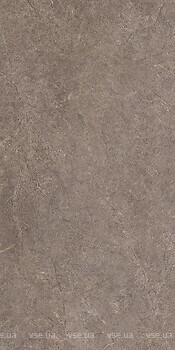 Фото Ceramika Paradyz плитка Urban Champagne Naturale Mat 59.8x119.8