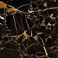 Фото Golden Tile плитка напольная Saint Laurent черный 60x60 (9АС583)