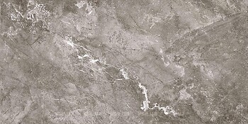 Фото Golden Tile плитка напольная Terragres Ritz серый 60x120 (RT2980)