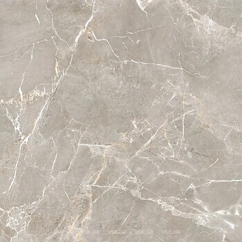 Фото Ceramika Paradyz плитка Proud Champagne Crema Str 119.8x119.8