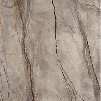 Фото Marazzi плитка Grande Stone Look Silver Root Satin 3D Ink 120x120 (MP46)