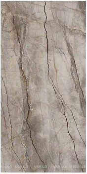 Фото Marazzi плитка Grande Stone Look Silver Root Satin 3D Ink 120x278 (MP45)