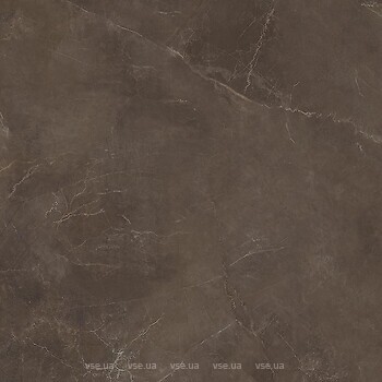 Фото Cerrad плитка Softstone Brown 120x120 (5903313356206)