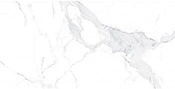 Фото TEO плитка Avenzo Silver F P R Satin 60x120