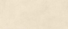 Фото Atlas Concorde плитка Boost Expression Grain Shell Matt 50x120 (AYTU)