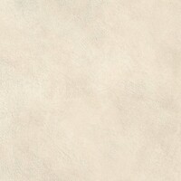 Фото Atlas Concorde плитка Boost Expression Shell Outdoor 60x60 (AYR3)