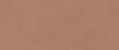 Фото Atlas Concorde плитка Boost Expression Sienna Matt 50x120 (AYR9)