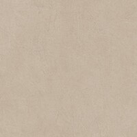 Фото Atlas Concorde плитка Boost Natural Ash Outdoor 60x60 (A7RB)