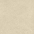 Фото Atlas Concorde плитка Boost Natural Pro Oat Outdoor 120x120 (ARB2)