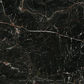 Фото Pamesa плитка Cr.Lux Laurants Brown Polished 160x160