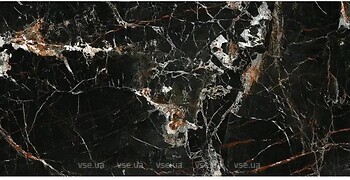 Фото Pamesa плитка Cr.Lux Laurants Brown Polished 60x120