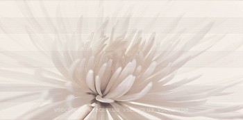 Фото Opoczno декор Avangarde Inserto Flower White 29.7x60