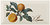 Фото Monopole Ceramica декор Provence Pomme 10x20