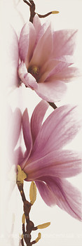 Фото Ceramika Paradyz декор Abrila Kwiat A Bianco 20x60