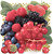 Фото Monopole Ceramica декор Tutti Frutti Decor Multi Frutti 30x30