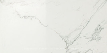 Фото Atlas Concorde плитка Marvel Calacatta Extra Lapp 29.5x59