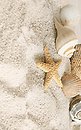 Фото Golden Tile декор Summer Stone (Holiday) 2 бежевый 25x40 (В41321)
