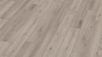 Фото Rooms Loft Oak Silver (R1009)