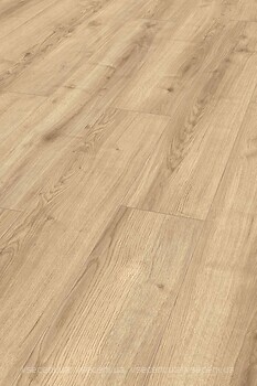 Фото Rooms Suite Luxor Oak Platin (RV821)
