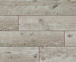 Фото Classen Trend 4V Дуб Вигри (52602)