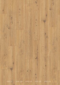 Фото Egger NatureSense 8/32 Classic Aqua EL2009 Дуб Предайя медовый (593931)