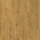 Фото Balterio Excellent V4 10/33 Hydro Дуб песчаный (00696)