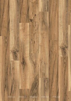 Фото Egger NatureSense 8/32 Classic EL1071 Brown Perganti Walnut ()