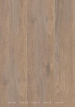 Фото Kronotex Amazone Elba Eiche Beige (D6014)