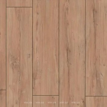 Фото Kronotex Exquisit Plus Pinot Kastsnie (D4716)