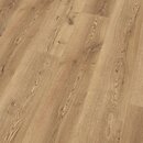 Фото Kronotex Mammut Berg Eiche Natur (D4725)