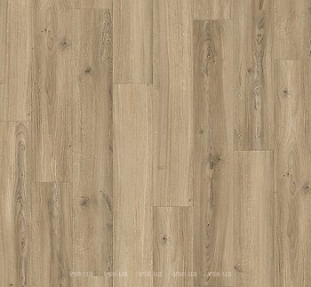 Фото Parador Basic 400 Eiche Studioline Beige (1748183)