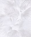 Фото Khroma Wild (WIL102)