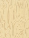 Фото Marburg Wallcoverings Imagine 31775