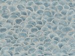 Фото BN International Fiore 220454