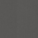 Фото Rasch Velluto 77161