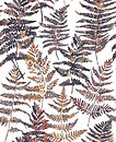 Фото Decoprint Ecodeco Essentials EE22543