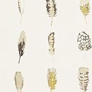 Фото Harlequin Amazilia 111072