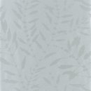 Фото Harlequin Anthozoa 111662