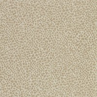 Фото Zoffany Darnley ZDAR312870