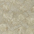 Фото Zoffany Kempshott ZKEM312634