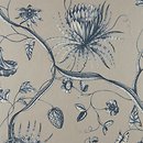 Фото Zoffany Phaedra ZPHA312622