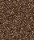 Фото Cole & Son Ardmore 109-6028