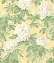 Фото Cole & Son Folie 99-4021