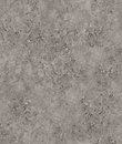 Фото Cole & Son Martyn Lawrence Bullard 113-9027