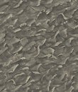 Фото Cole & Son Whimsical 103-13056