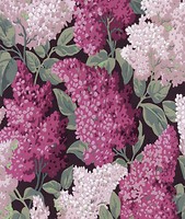 Фото Cole & Son Botanical Botanica 115-15045