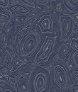 Фото Cole & Son Fornasetti Senza Tempo 114-17034