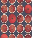 Фото Cole & Son Fornasetti Senza Tempo 114-24046